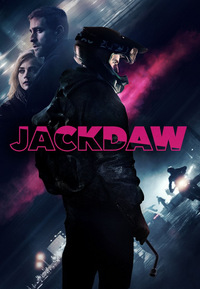 Jackdaw