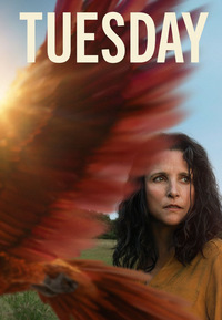 Tuesday (DVD)