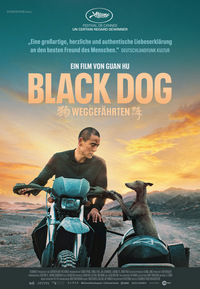 Black Dog - Weggefährten (DVD)