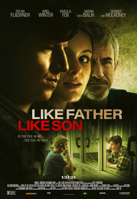 Like Father, Like Son (DVD)