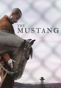 The Mustang - Der Mustang (DVD)