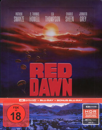 Die rote Flut (DVD)