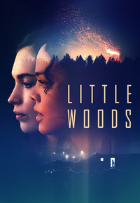 Little Woods (DVD)