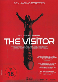The Visitor (DVD)