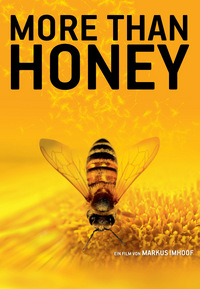More Than Honey