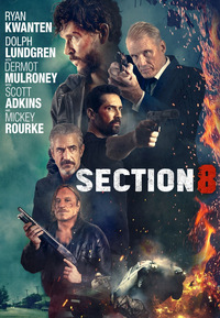 Section 8 (DVD)