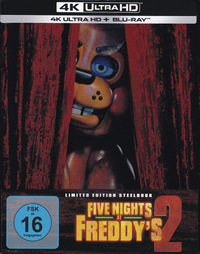 Five Nights at Freddy's 2 (DVD)