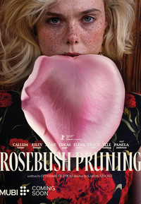 Rosebush Pruning (DVD)