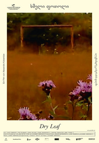 Dry Leaf (DVD)