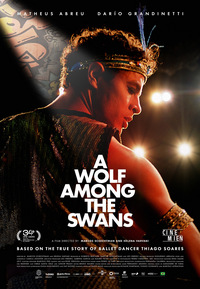 A Wolf Among the Swans (DVD)