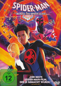 Spider-Man - Across the Spider-Verse (DVD)