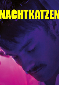 Nachtkatzen (DVD)