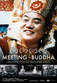 Meeting the Buddha (DVD)