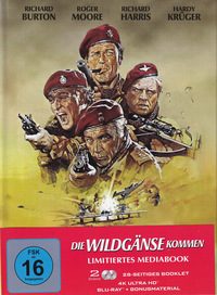Die Wildgänse kommen