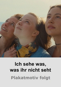 Ich sehe was, was ihr nicht seht (DVD)