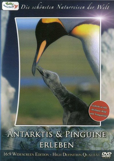 Die schönsten Naturreisen der Welt - Antarktis & Pinguine erleben