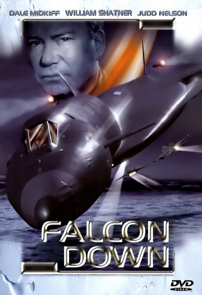 Falcon Down - Todesflug ins Eismeer