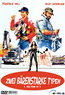 Zwei bärenstarke Typen (DVD) kaufen