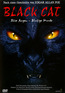 Black Cat (DVD) kaufen