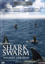 Shark Swarm (DVD) kaufen