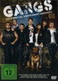 Gangs (DVD) kaufen