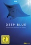 Deep Blue (DVD) kaufen