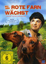 Wo der rote Farn wächst (DVD) kaufen