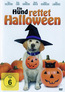 Ein Hund rettet Halloween (DVD) kaufen