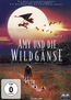 Amy und die Wildgänse (DVD) kaufen