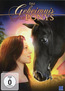 Das Geheimnis des Ponys (DVD) kaufen