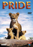 Pride (DVD) kaufen