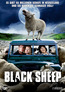 Black Sheep - FSK-18-Fassung (DVD) kaufen