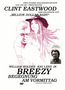 Breezy (DVD) kaufen