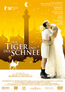 Der Tiger und der Schnee (DVD) kaufen