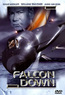 Falcon Down (DVD) kaufen
