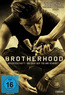 Brotherhood (DVD) kaufen