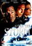 After the Storm (DVD) kaufen