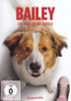 Bailey 2 - Ein Hund kehrt zurück (Blu-ray), gebraucht kaufen