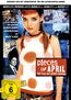 Pieces of April (DVD) kaufen