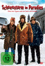 Schneesturm im Paradies (DVD) kaufen