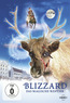 Blizzard (DVD) kaufen