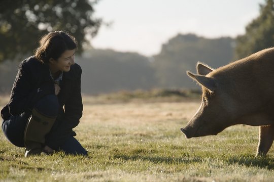 Wildes Land - Die Rückkehr der Natur - Szenenbild 2