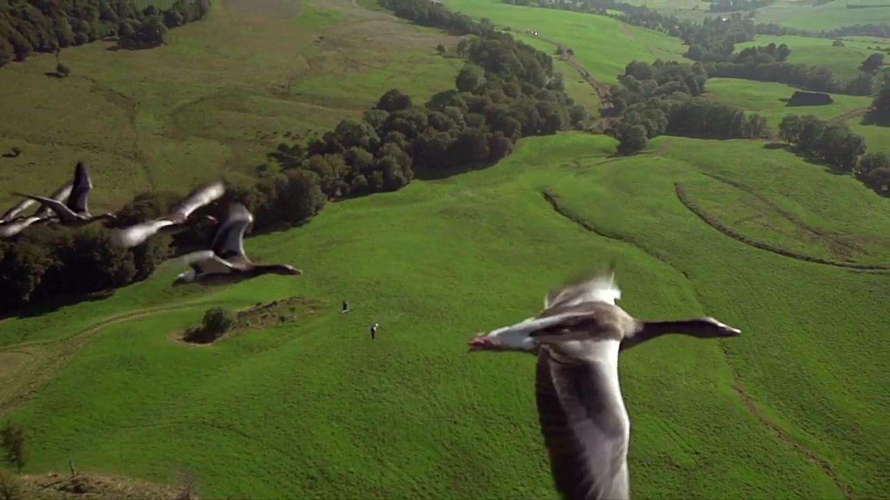 Der mit den Gänsen fliegt - Trailer - Deutsch - SD