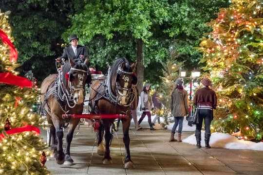 Weihnachten im Bramble Haus - Szenenbild 4