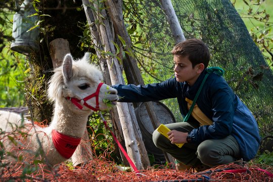 Tiere bis unters Dach - Staffel 9 - Szenenbild 4
