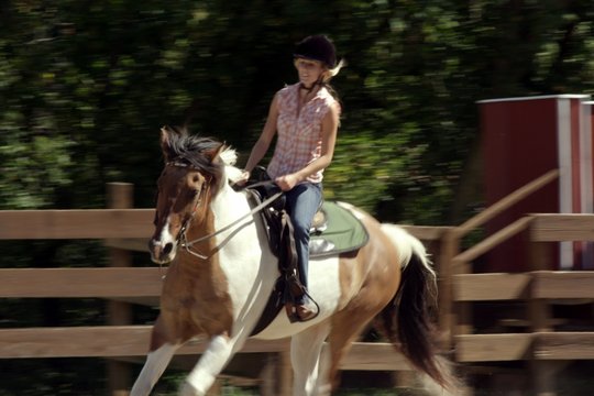 Ferien auf dem Reiterhof - Szenenbild 3