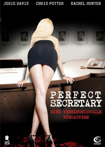 Secretary 2 - Perfect Secretary - Poster 1
