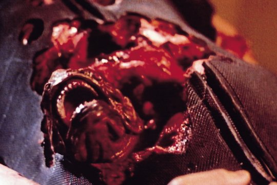 Piranha 2 - Fliegende Killer - Szenenbild 3