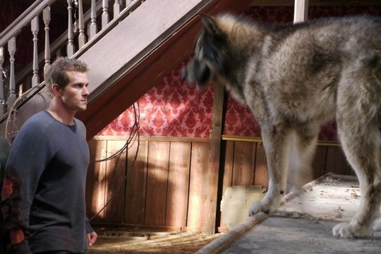Wolf Town - Szenenbild 2