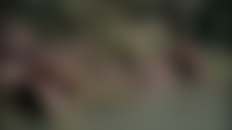 Blutgericht am Amazonas - Trailer - Englisch - SD